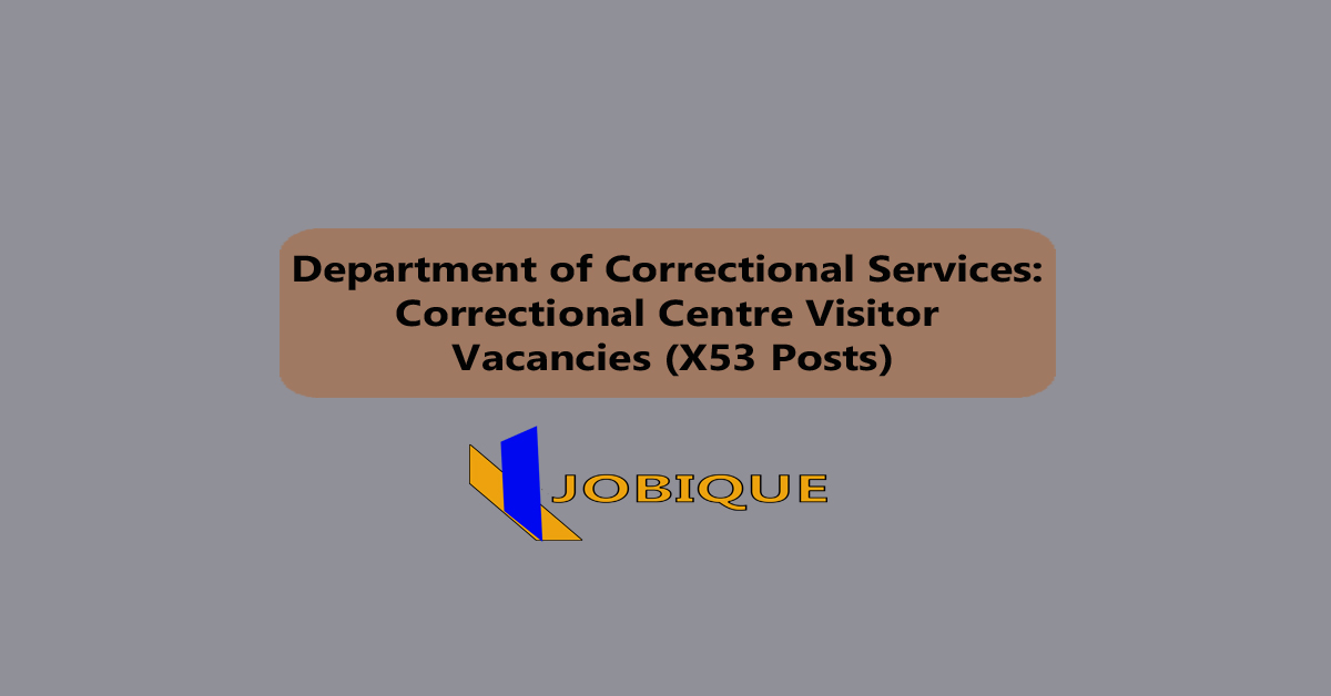 online job application form for South African youth