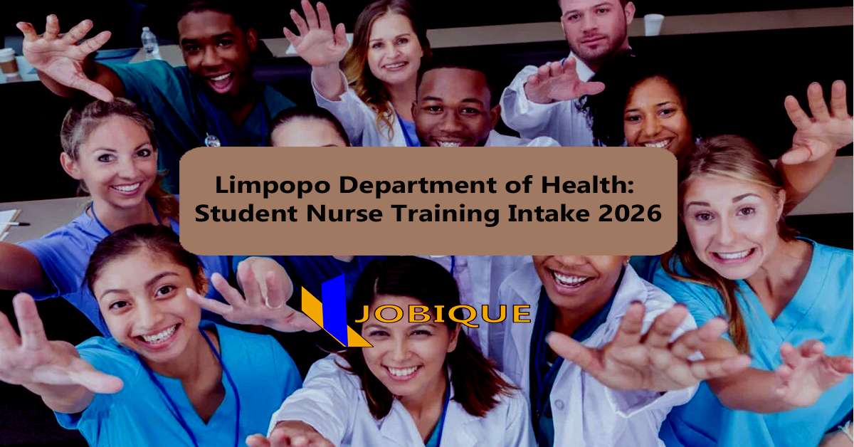 online job application form for South African youth